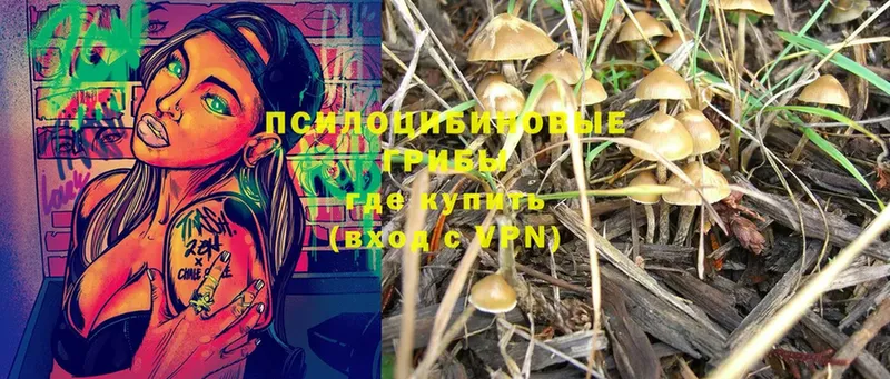 Галлюциногенные грибы MAGIC MUSHROOMS  мега маркетплейс  Туймазы 